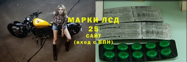 прущий лед Алзамай