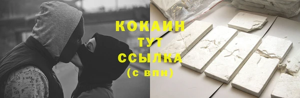 ешки Алексин