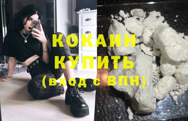 прущий лед Алзамай