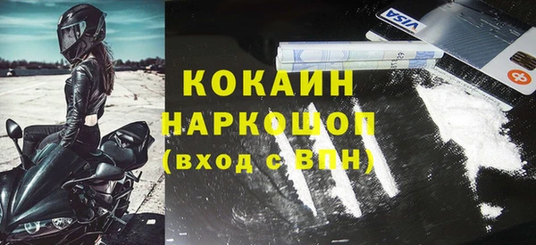 прущий лед Алзамай