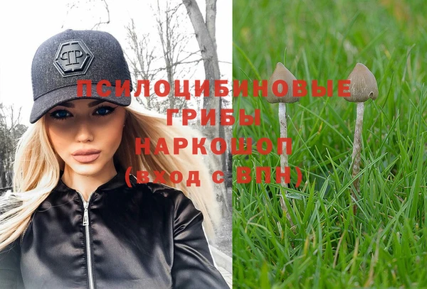 прущий лед Алзамай