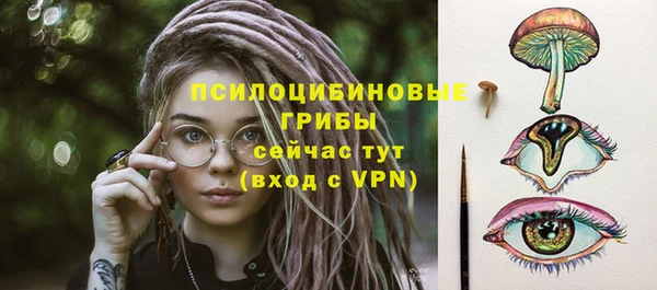 ешки Алексин