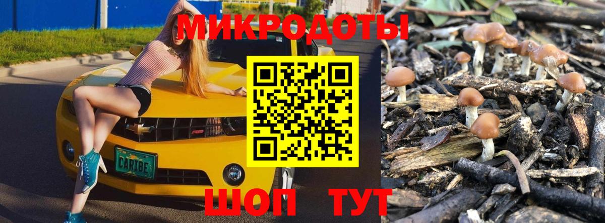 Псилоцибиновые грибы Psilocybine cubensis Алексин