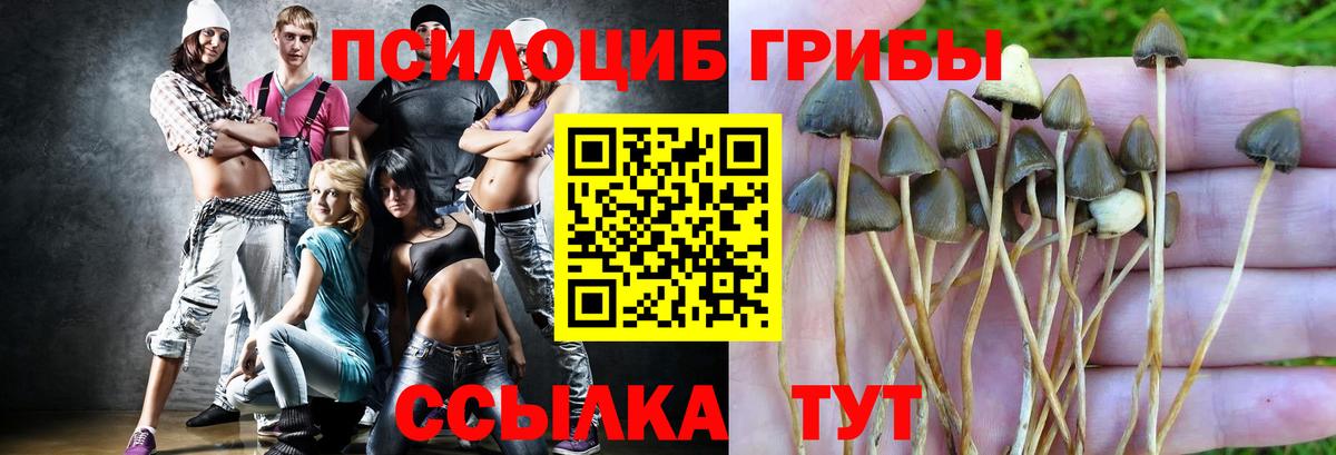 Алексин  Галлюциногенные грибы мухоморы  Вход с VPN 